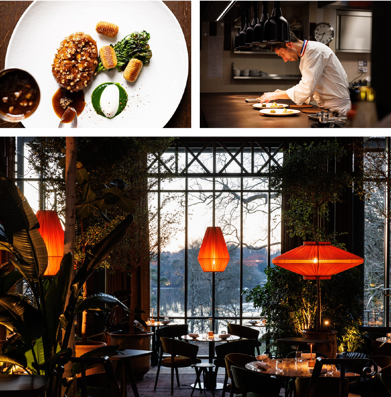 who would have guessed